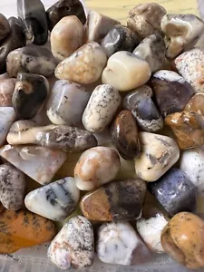 1X Merlinite Tumbled Stone Opalized Agate 25-30mm Healing Crystal Creativity - Picture 1 of 10