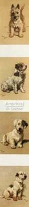 Canine Quartet - Art Print Of Vintage Art - Picture 1 of 1