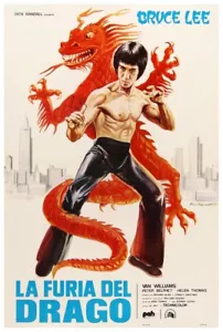 Il calabrone verde 1974 - Bruce Lee - francese - poster classico film kung fu - Foto 1 di 6