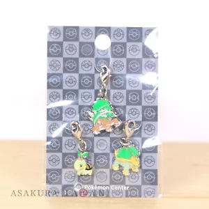 Pokemon Center Metall Charm # 387 388 389 Turtwig Grotte Torterra Schlüsselanhänger - Bild 1 von 2