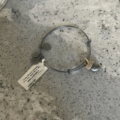 Pulseira de berloque Alex and Ani garra de tigre prata meia-noite dois tons nova com etiquetas - Imagem 1 de 3