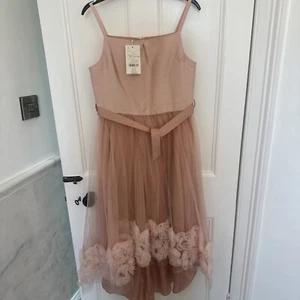 Bnwt Monsoon Pink Bridesmaid Occasion Dress 14-15 Yrs STUNNING Rrp £70 - Picture 1 of 13