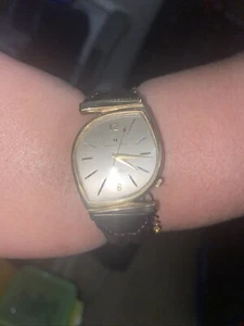Hamilton Victor II electric running - Picture 1 of 4
