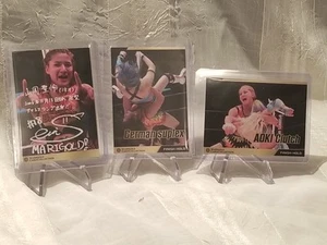 Ringelblume Pro Wrestling Sammlung Karten Seri Yamaoka 3er Set #038 #129 & #128 - Bild 1 von 2