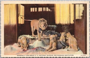 1934 Washington DC Postkarte "Roosevelt Lion Group Smithsonian Institution" LEINEN - Bild 1 von 2