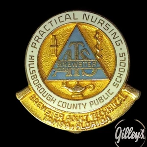 Prendedor técnico Brewster de 10 k gf Brewster para adultos Tampa, FL Hillsborough Co. Escuelas Públicas  - Imagen 1 de 3