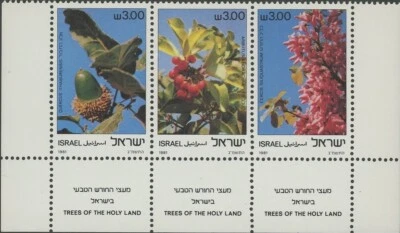 Hoja de recuerdo Israel 800a árboles de Holyland MNH 1981 Foto 1 de 2