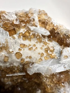 FLUORESCENT__Large Root beer Fluorite & Celestite Specimen / Clay Center Ohio - Picture 1 of 9