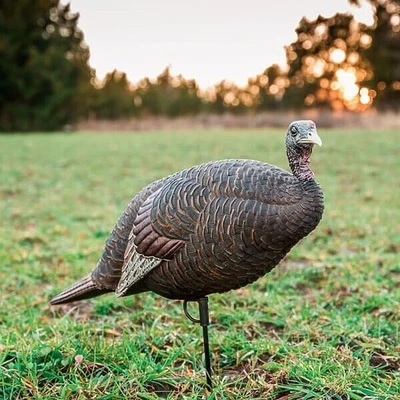 Flextone Thunder Chick Upright Hen Decoy FLXDY315 - Image 1 of 2