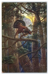 Deutsches Gemälde Birkhuhn im Baum Künstler signiert Rösler Postkarte - Bild 1 von 2