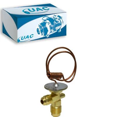 Válvula de expansión de aire acondicionado UAC para Mercury Bobcat 1975-1980 Foto 1 de 2