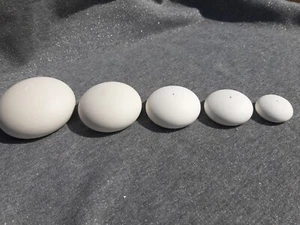 Gips Stein Rohlinge 5er Set verschiedene kleine Größen für Mandala & Dotpaining - Bild 1 von 10