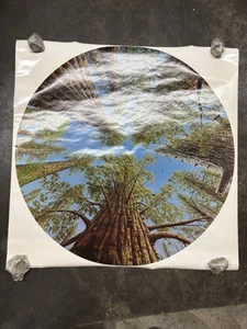 The Grove 1976 Gage Taylor Vintage Poster C2756 - Bild 1 von 6