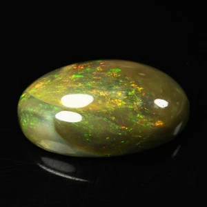 16.10ct Lovely Perfect Oval 22.8 x 13.6 MM Multi Color Play Welo Black Fire Opal - Picture 1 of 5