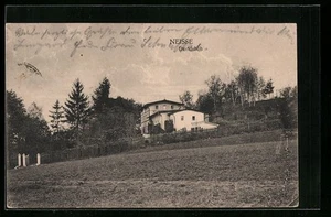 Neisse, Haus Davidshöh, von einem Acker aus, Ansichtskarte 1924 - Bild 1 von 2