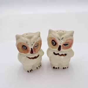 Vintage Owl Salt Pepper Shaker Set Ceramic Hand Painted 4" Kitsch Kitchen Decor - Picture 1 of 11