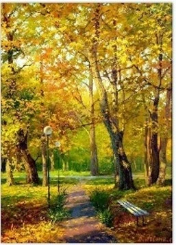 NORIMPEX Malen nach Zahlen Wald Goldener Herbst 50X40 cm auf einem kreativen Rahmen