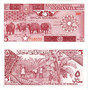 Somalia 5 Shilin Soomaali P#31b (1986) Bankiga Dhexe ee Soomaaliya UNC - Picture 1 of 1