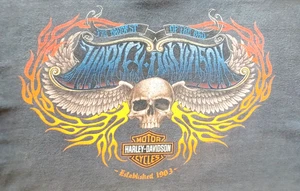 🖤 Camiseta Mile High Harley-Davidson para hombre L - Aurora CO - Gráfico de llama calavera - Imagen 1 de 16