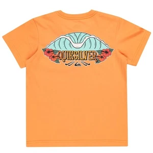 Quiksilver Kids Tropical Fade Short Sleeve Crew Neck T-Shirt - White - 5 Yrs - Picture 1 of 2