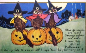 Halloween Postcard 3 Owls Dressed As Witches With Brooms Fantasy Whitney Unused - Picture 1 of 3