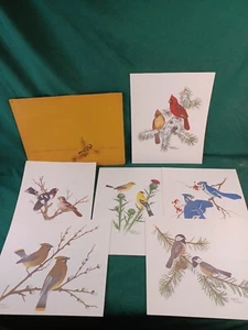 Set Of 6 Vtg 1978 Collector's Portfolio of Song Birds Art Prints Sherm Pehrson - Picture 1 of 10