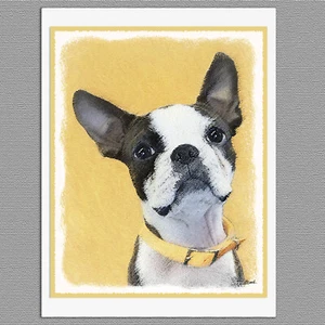 6 tarjetas de felicitación de notas artísticas en blanco del Boston Terrier - Imagen 1 de 1