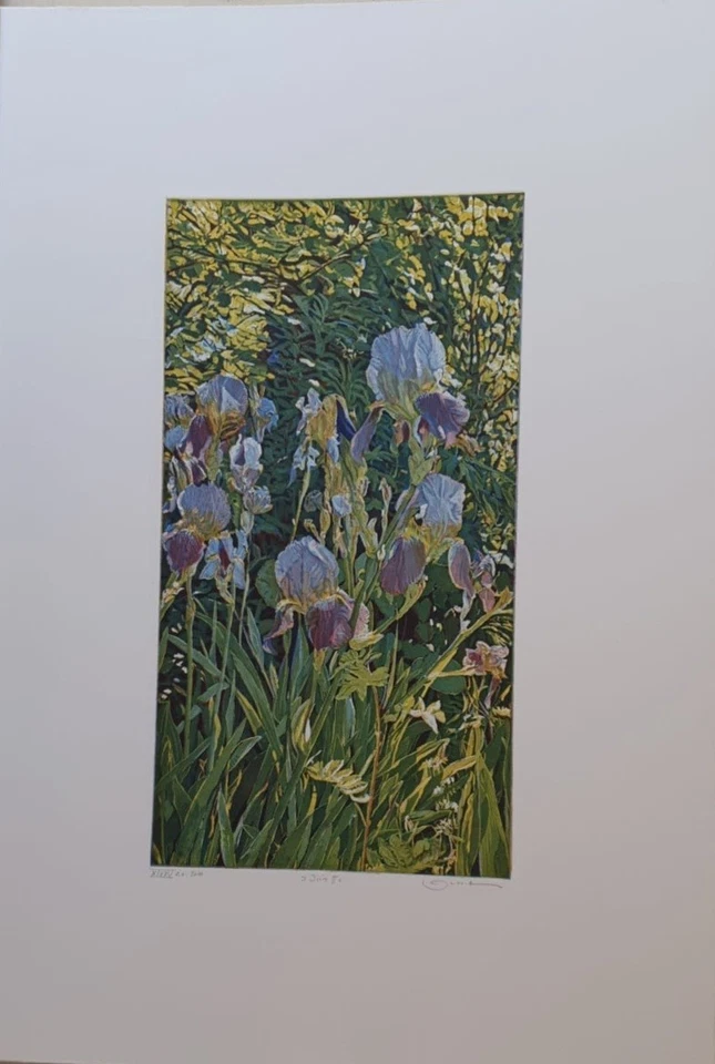 Radierung "Iris" Günther Hermann (1984-2020) - Bild 1 von 1