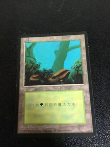 ARTIST PROOF Magic the Gathering CHINESE Forest FBB UN SIGNED Christopher Rush - Picture 1 of 2