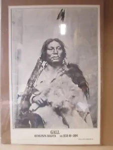 GALL HUNKPAPA 1838-1894 DAKOTA VINTAGE PÓSTER RETRATO INDIO CNG3096 - Imagen 1 de 5
