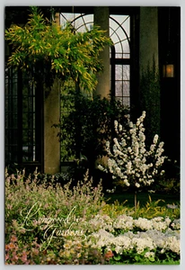 Kennett Square PA - LONGWOOD GARDENS - Blühender Crabapple - Postkarte ohne Post - Bild 1 von 2