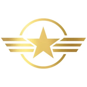 2er Set Army Stern Autoaufkleber 10x10cm Gold Sticker für Auto K171 - Picture 1 of 7