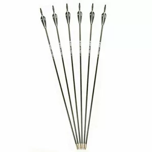6PCS 30''7mm Archery Fiberglass Plastic Feather Arrows SP700 F Recurve Bow Sport - Picture 1 of 7