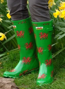 WALES THE ORIGINAL WELSH DRAGON WELLIES WELLINGTON BOOTS WEAR THEM WITH PRIDE - Picture 1 of 12