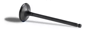 Polaris (2014-2021) Sportsman Scrambler 1000 Engine EXHAUST Valve 3022589 - Foto 1 di 4