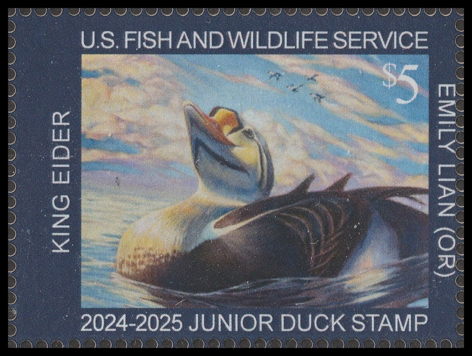 US JDS32 Junior Duck King Eider $5 single MNH 2024-2025 - Image 1 of 1