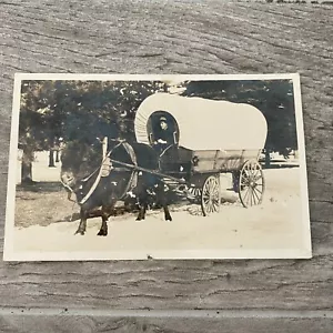 Foto híbrida Cattalo Buffalo Cow hombre en vagón en nieve Colorado años 30 - Imagen 1 de 2