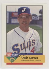 1994 Fleer ProCards Minor League Jeff Andrews #1427