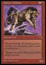 Magic the Gathering MTG Canyon Wildcat (167) Tempest   LP
