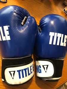 Titel Boxhandschuhe blau Größe XL guter Handgelenkverschluss. - Bild 1 von 5