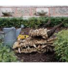 Large: Myths and Legends Medieval Dragon Skull Fanged Garden or Table Top Trophy