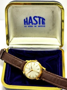 VINTAGE HASTE D-LUX HANDBUCH Cal. BUREN 1380 32,81mm GOLDPLATTE 50er Jahre NOS - Bild 1 von 12