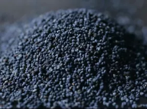 ✅ 15kg PREMIUM Blue Poppy Seed Kosher Health Food TOP QUALITY - Picture 1 of 1