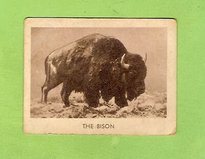 #D356. 1930s MONKEY BRAND POLISH CARD #22 THE BISON - Picture 1 of 2