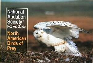 SUTTON: North American Birds of Prey: Pocket Gd (Alfred A. Knopf, Inc., 2008) - Picture 1 of 7