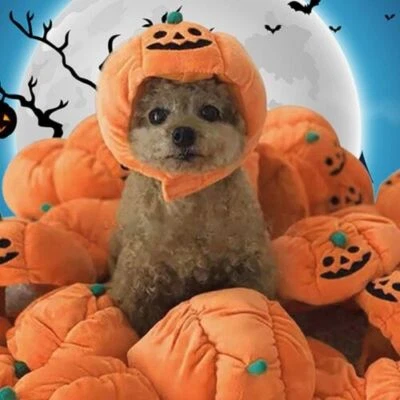 Halloween Costume Cat Dog Cap Pet Puppy Props Dress Headgear Pumpkin Hat - Image 1 of 4
