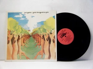 JOEL MABUS LP Settin the woods on fire 1980 Flying Fish vinyl - Picture 1 of 1