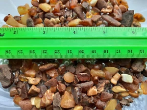 Baltischer Bernstein Rohsteine Perlen Armband Mosaik Natur Bursztyn Baltycki 60g - Bild 1 von 7