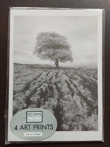 FÜR 7" x 5" RAHMEN ~ SCHWARZ & WEISS KUNSTMOTIV DEKORIEREN SIE IHREN RAUM 4 VERSCHIEDENE  - Bild 1 von 2