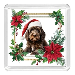 Cockapoo Hund Weihnachten Mütze Acryl Untersetzer Neuheit Trinkbecher Matte tolles Geschenk - Bild 1 von 1